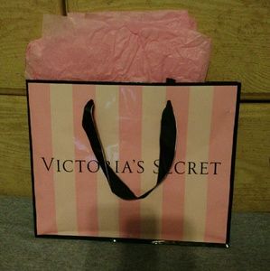 Victoria Secret gift bag